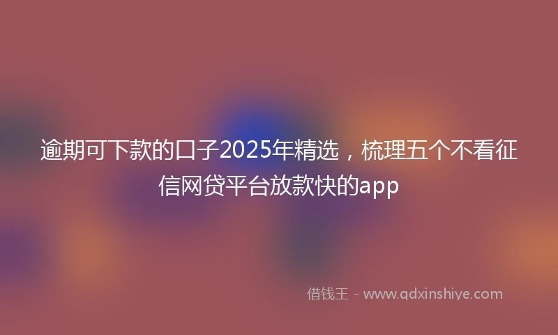 逾期可下款的口子2025年精选，梳理五个不看征信网贷平台放款快的app