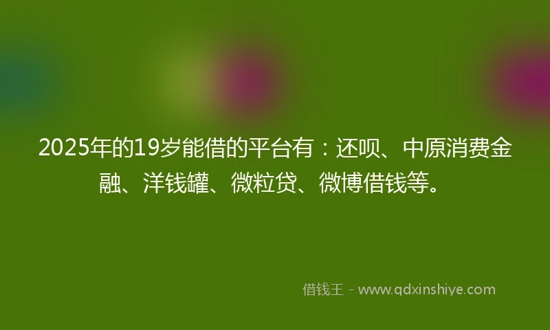 2025年的19岁能借的平台有：还呗、中原消费金融、洋钱罐、微粒贷、微博借钱等。