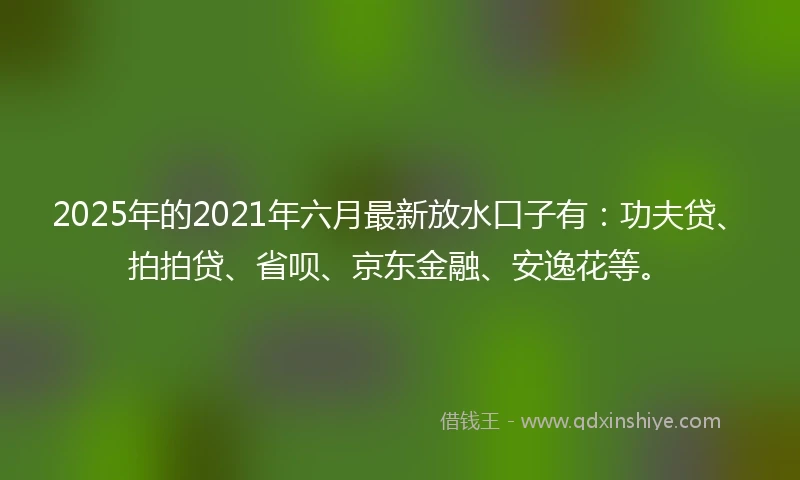 2025年的2021年六月最新放水口子有：功夫贷、拍拍贷、省呗、京东金融、安逸花等。