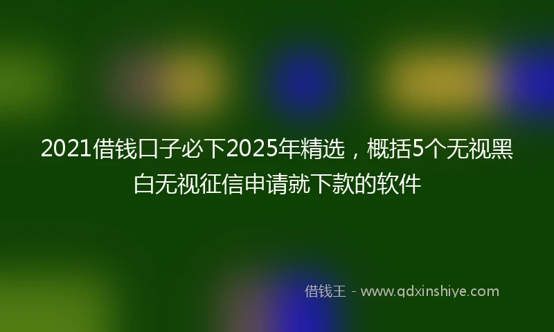 2021借钱口子必下2025年精选，概括5个无视黑白无视征信申请就下款的软件