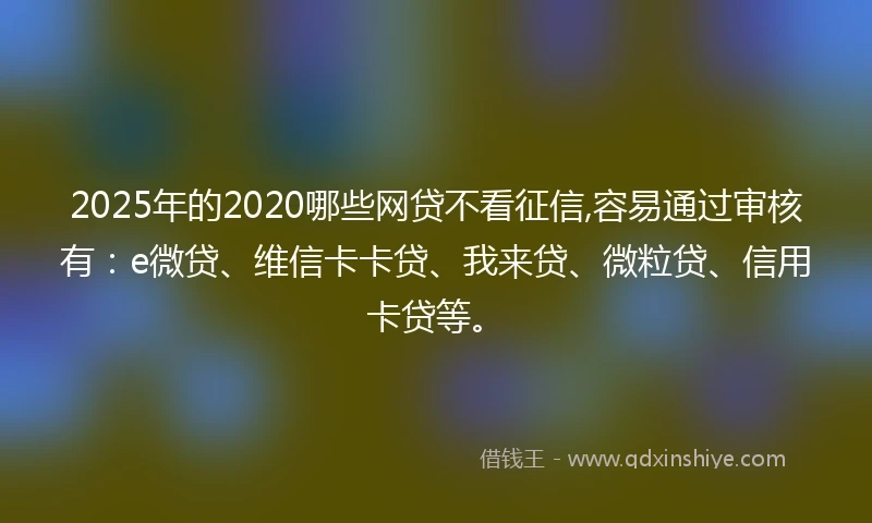 2025年的2020哪些网贷不看征信,容易通过审核有：e微贷、维信卡卡贷、我来贷、微粒贷、信用卡贷等。