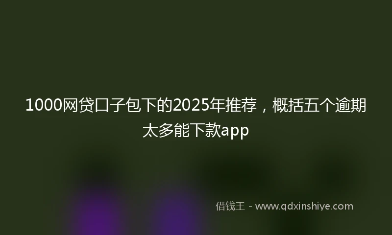 1000网贷口子包下的2025年推荐，概括五个逾期太多能下款app