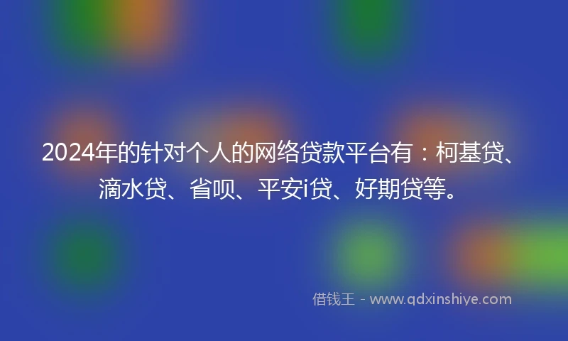 2024年的针对个人的网络贷款平台有：柯基贷、滴水贷、省呗、平安i贷、好期贷等。