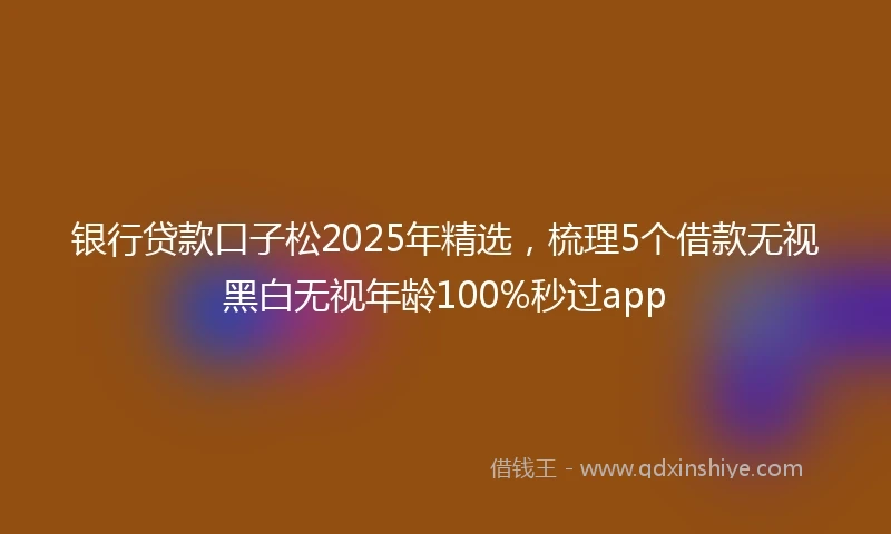 银行贷款口子松2025年精选，梳理5个借款无视黑白无视年龄100%秒过app