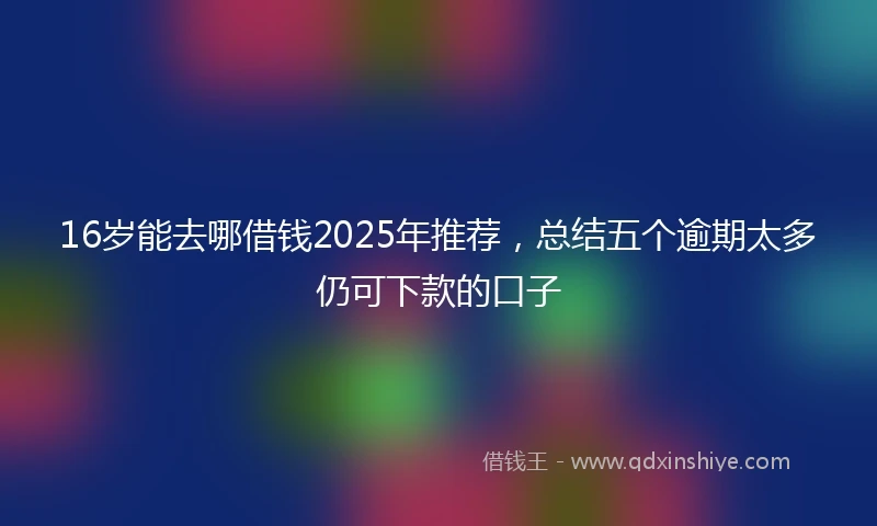 16岁能去哪借钱2025年推荐，总结五个逾期太多仍可下款的口子