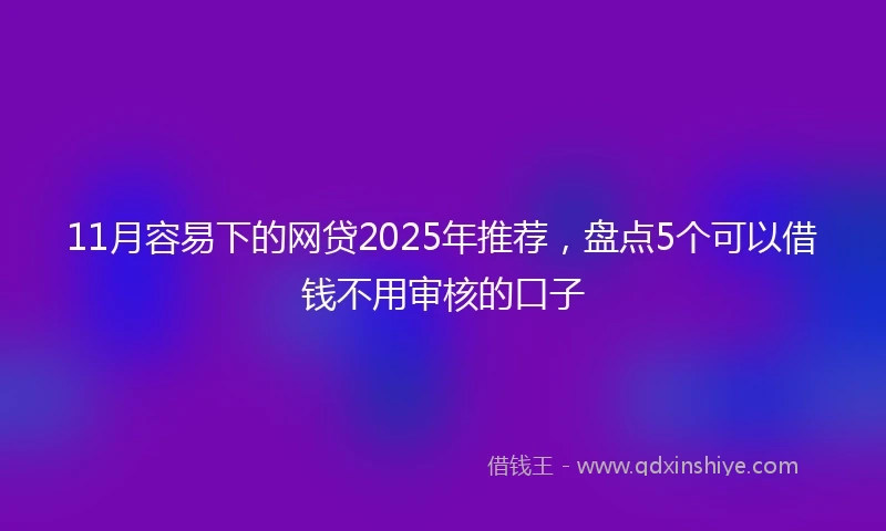 11月容易下的网贷2025年推荐，盘点5个可以借钱不用审核的口子
