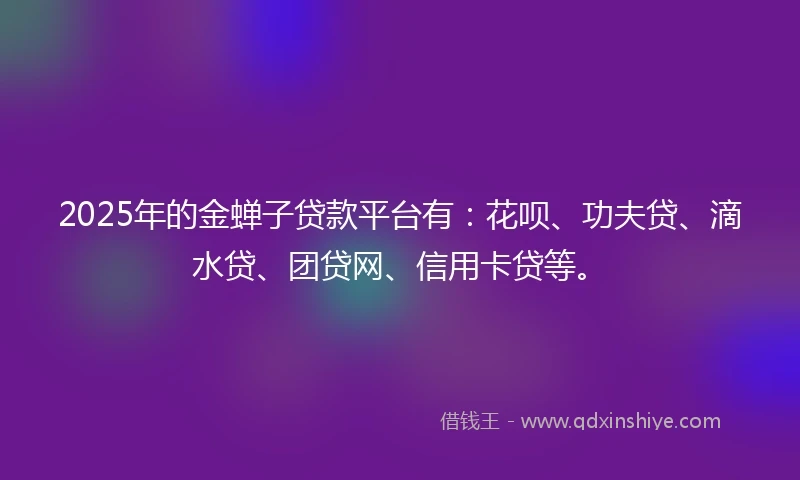 2025年的金蝉子贷款平台有：花呗、功夫贷、滴水贷、团贷网、信用卡贷等。