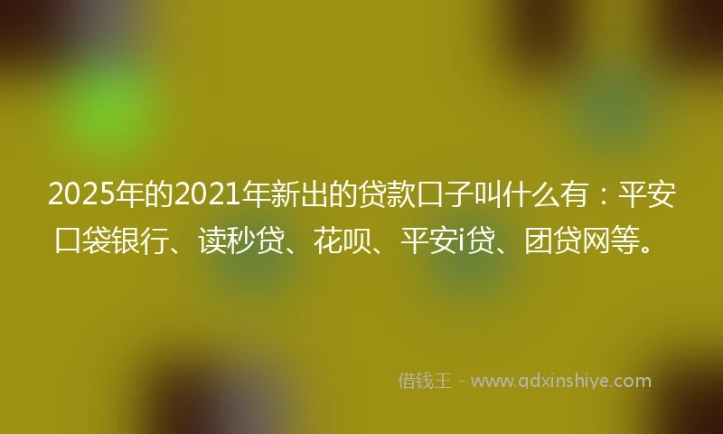 2025年的2021年新出的贷款口子叫什么有：平安口袋银行、读秒贷、花呗、平安i贷、团贷网等。