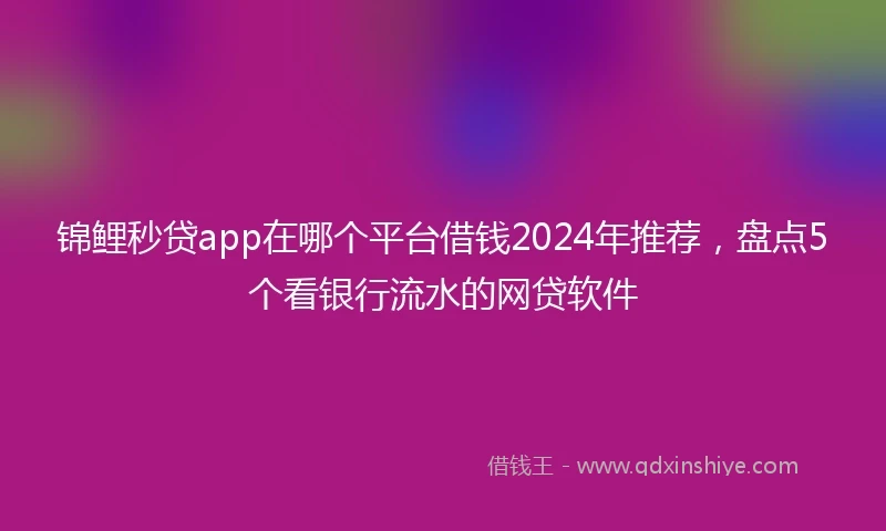锦鲤秒贷app在哪个平台借钱2024年推荐，盘点5个看银行流水的网贷软件