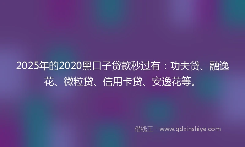 2025年的2020黑口子贷款秒过有：功夫贷、融逸花、微粒贷、信用卡贷、安逸花等。