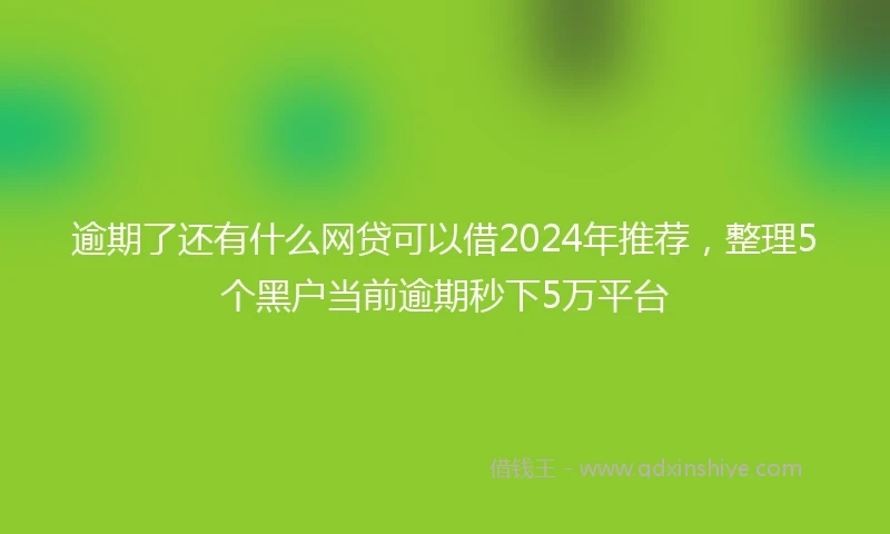 逾期了还有什么网贷可以借2024年推荐，整理5个黑户当前逾期秒下5万平台