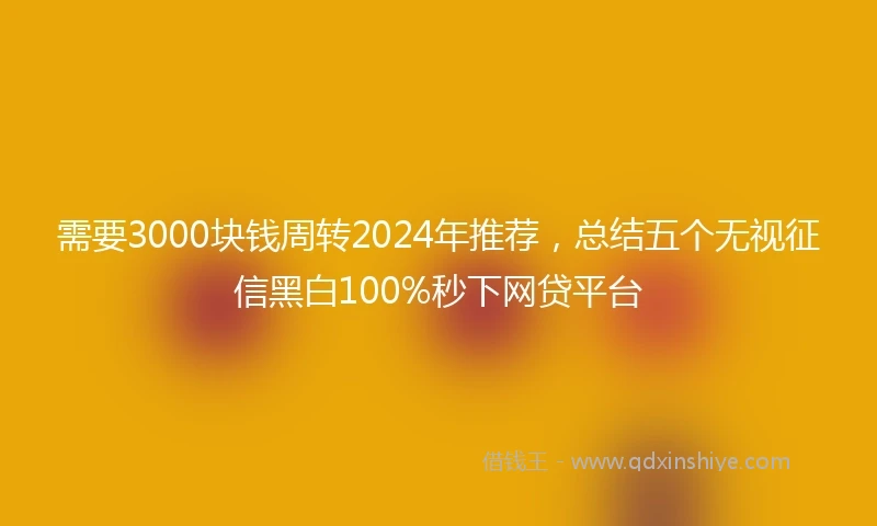 需要3000块钱周转2024年推荐，总结五个无视征信黑白100%秒下网贷平台
