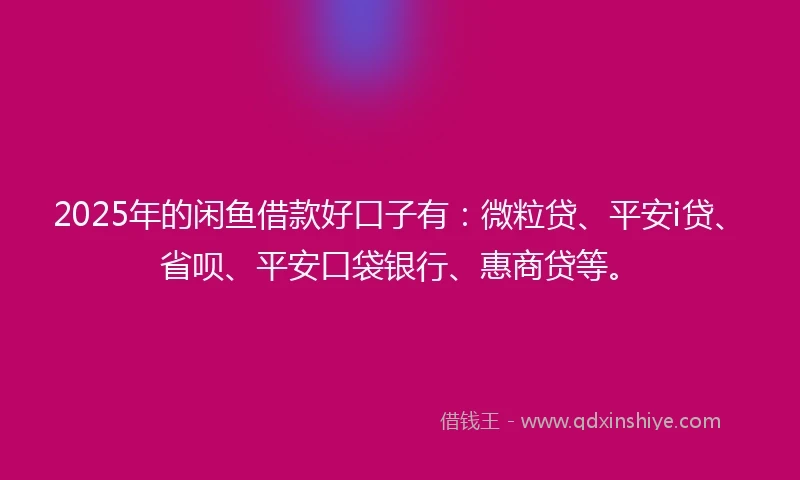 2025年的闲鱼借款好口子有：微粒贷、平安i贷、省呗、平安口袋银行、惠商贷等。