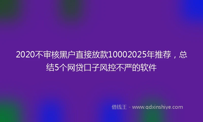 2020不审核黑户直接放款10002025年推荐，总结5个网贷口子风控不严的软件
