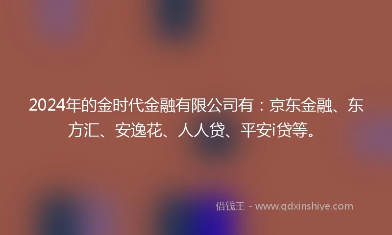 2024年的金时代金融有限公司有：京东金融、东方汇、安逸花、人人贷、平安i贷等。