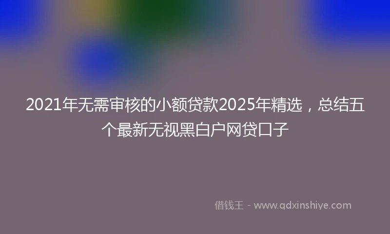 2021年无需审核的小额贷款2025年精选，总结五个最新无视黑白户网贷口子