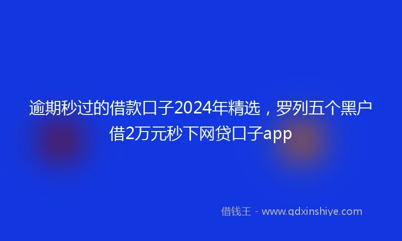逾期秒过的借款口子2024年精选，罗列五个黑户借2万元秒下网贷口子app