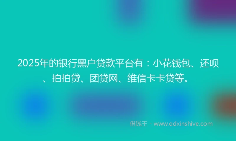 2025年的银行黑户贷款平台有：小花钱包、还呗、拍拍贷、团贷网、维信卡卡贷等。