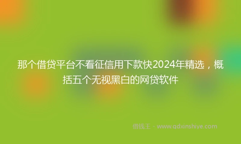 那个借贷平台不看征信用下款快2024年精选，概括五个无视黑白的网贷软件