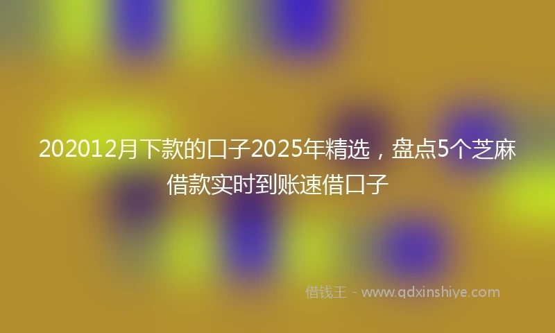 202012月下款的口子2025年精选，盘点5个芝麻借款实时到账速借口子