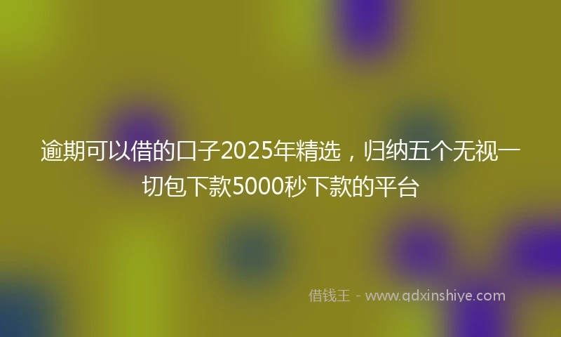 逾期可以借的口子2025年精选，归纳五个无视一切包下款5000秒下款的平台