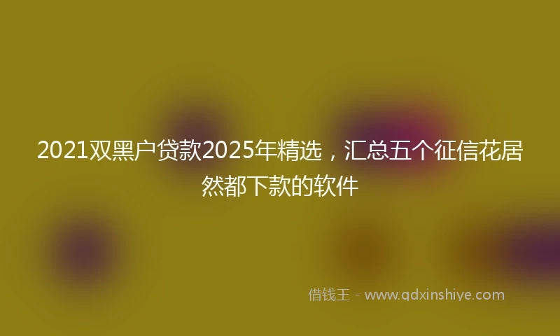 2021双黑户贷款2025年精选，汇总五个征信花居然都下款的软件