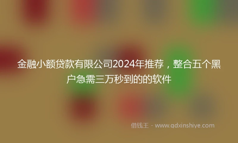 金融小额贷款有限公司2024年推荐，整合五个黑户急需三万秒到的的软件