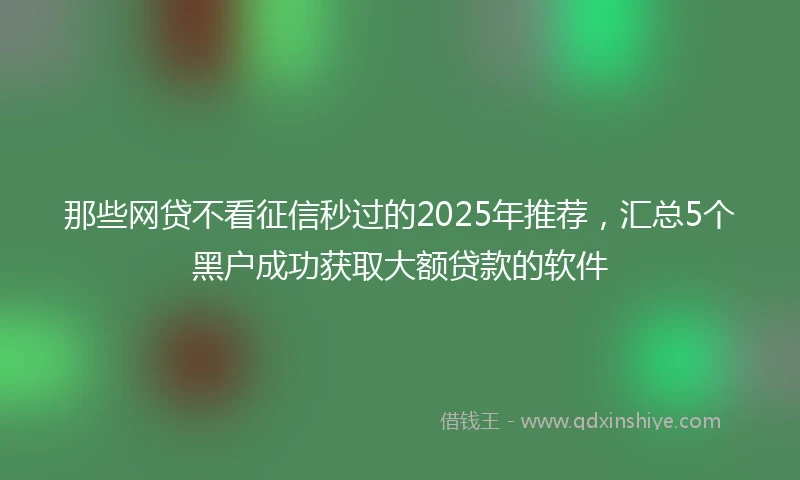 那些网贷不看征信秒过的2025年推荐，汇总5个黑户成功获取大额贷款的软件