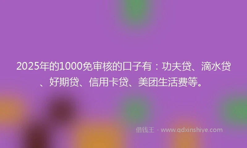 2025年的1000免审核的口子有：功夫贷、滴水贷、好期贷、信用卡贷、美团生活费等。