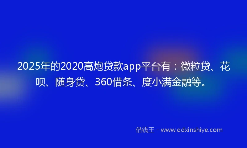 2025年的2020高炮贷款app平台有：微粒贷、花呗、随身贷、360借条、度小满金融等。