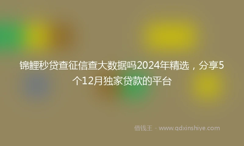 锦鲤秒贷查征信查大数据吗2024年精选，分享5个12月独家贷款的平台