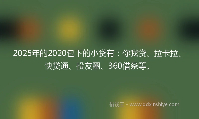 2025年的2020包下的小贷有：你我贷、拉卡拉、快贷通、投友圈、360借条等。