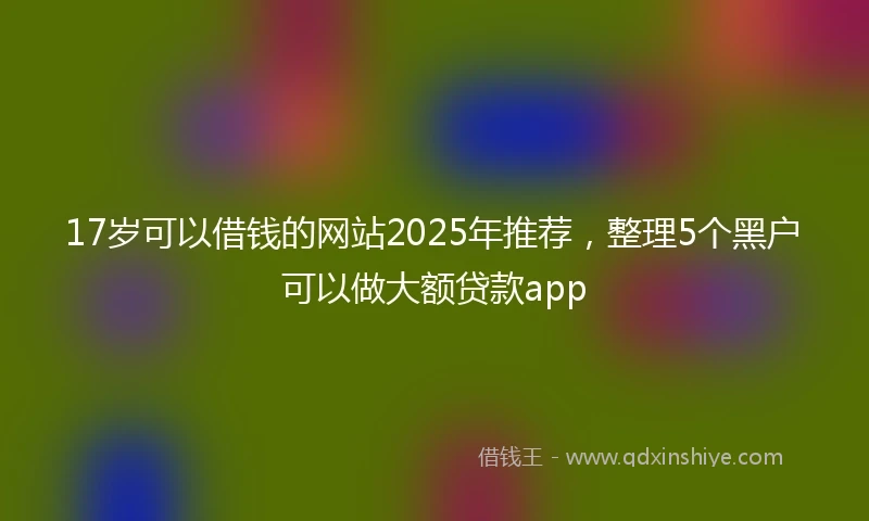 17岁可以借钱的网站2025年推荐，整理5个黑户可以做大额贷款app