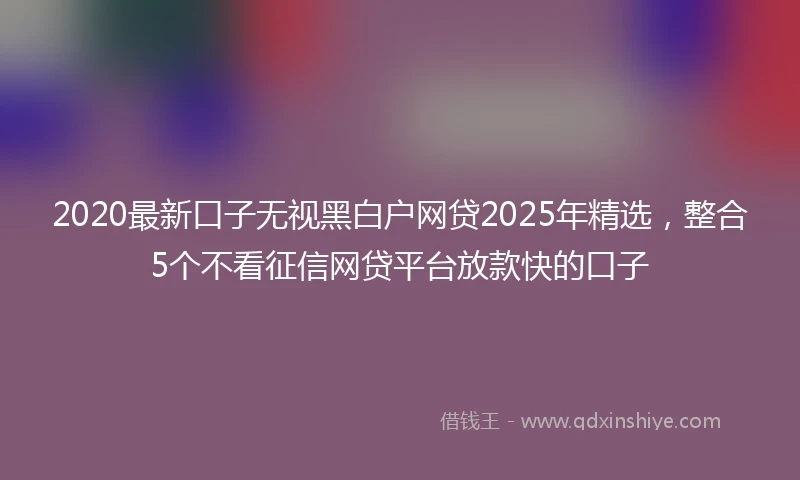 2020最新口子无视黑白户网贷2025年精选，整合5个不看征信网贷平台放款快的口子