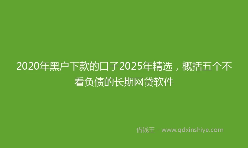 2020年黑户下款的口子2025年精选，概括五个不看负债的长期网贷软件