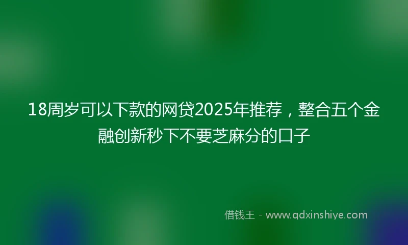 18周岁可以下款的网贷2025年推荐，整合五个金融创新秒下不要芝麻分的口子