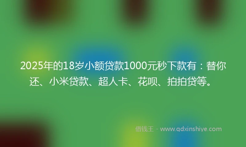 2025年的18岁小额贷款1000元秒下款有：替你还、小米贷款、超人卡、花呗、拍拍贷等。