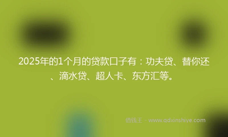 2025年的1个月的贷款口子有：功夫贷、替你还、滴水贷、超人卡、东方汇等。