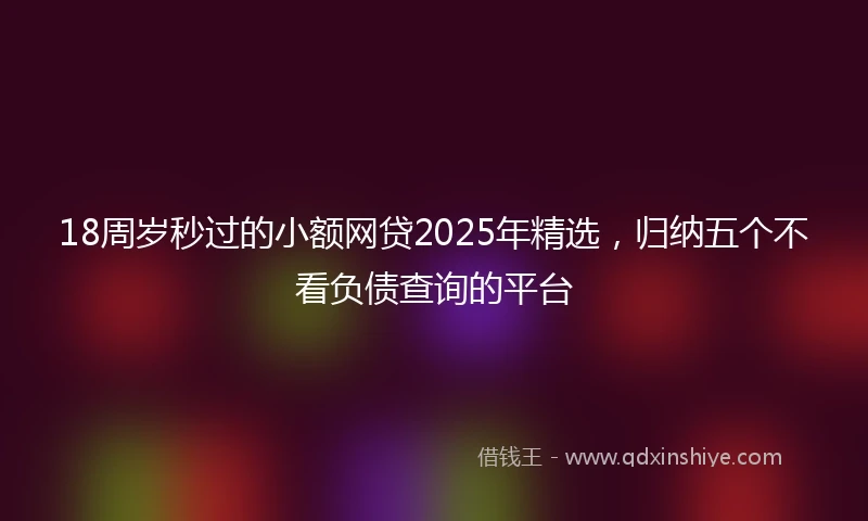 18周岁秒过的小额网贷2025年精选，归纳五个不看负债查询的平台