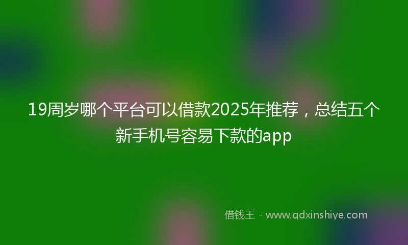 19周岁哪个平台可以借款2025年推荐，总结五个新手机号容易下款的app