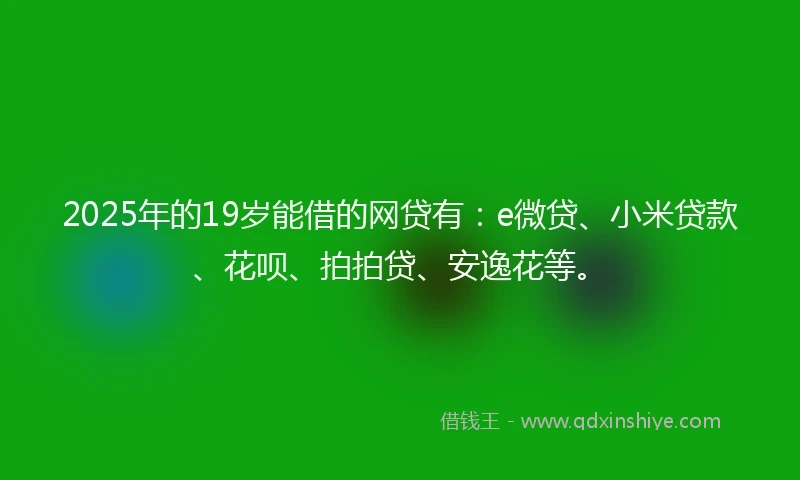 2025年的19岁能借的网贷有：e微贷、小米贷款、花呗、拍拍贷、安逸花等。