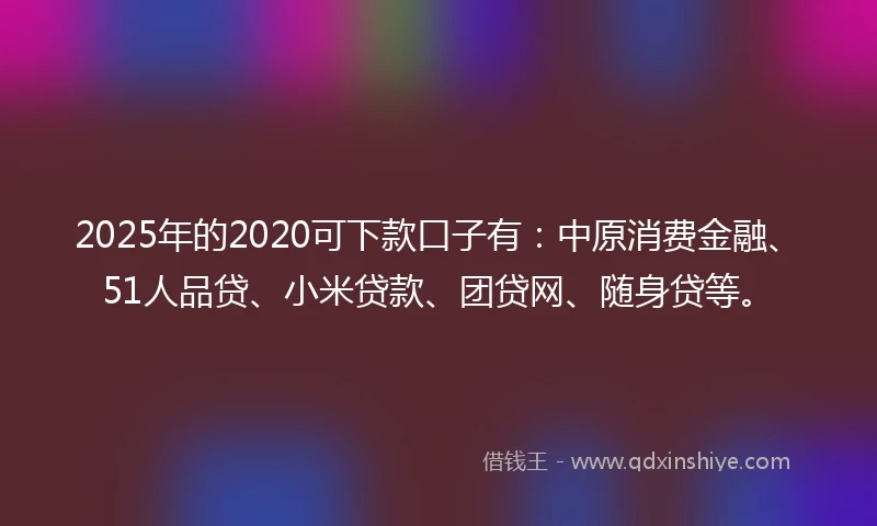 2025年的2020可下款口子有：中原消费金融、51人品贷、小米贷款、团贷网、随身贷等。
