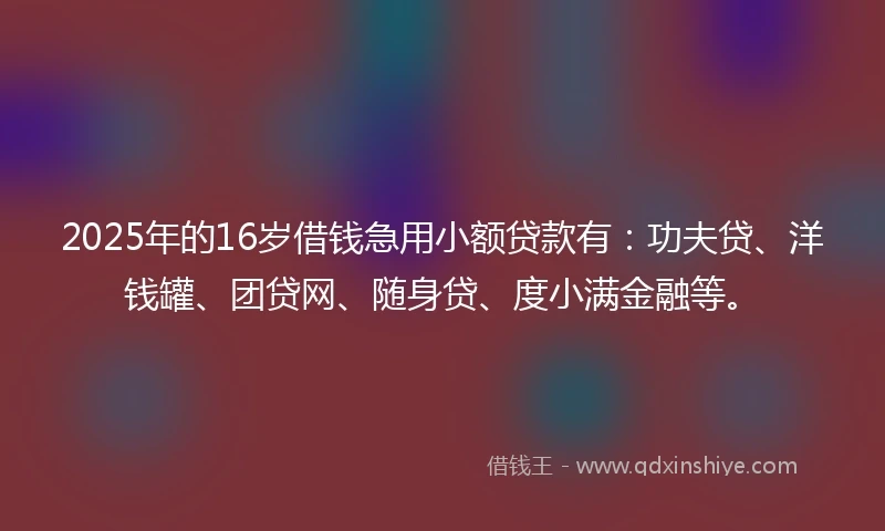 2025年的16岁借钱急用小额贷款有：功夫贷、洋钱罐、团贷网、随身贷、度小满金融等。