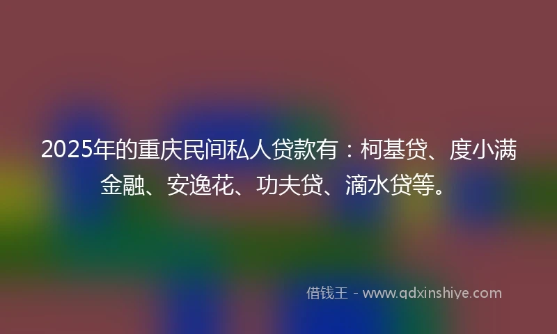 2025年的重庆民间私人贷款有：柯基贷、度小满金融、安逸花、功夫贷、滴水贷等。