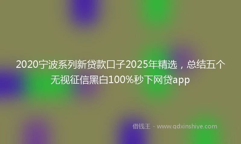 2020宁波系列新贷款口子2025年精选，总结五个无视征信黑白100%秒下网贷app