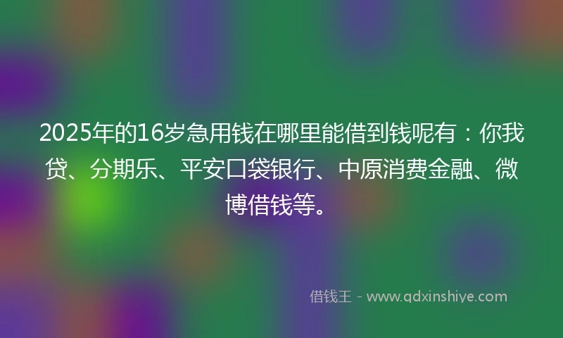 2025年的16岁急用钱在哪里能借到钱呢有：你我贷、分期乐、平安口袋银行、中原消费金融、微博借钱等。