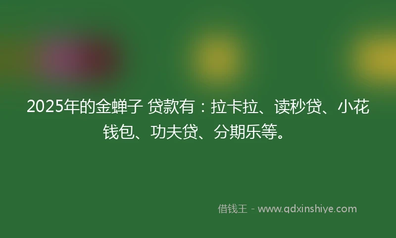 2025年的金蝉子 贷款有：拉卡拉、读秒贷、小花钱包、功夫贷、分期乐等。
