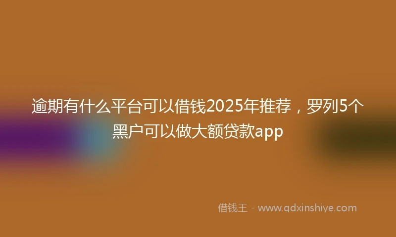 逾期有什么平台可以借钱2025年推荐，罗列5个黑户可以做大额贷款app