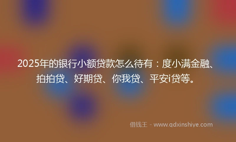 2025年的银行小额贷款怎么待有：度小满金融、拍拍贷、好期贷、你我贷、平安i贷等。