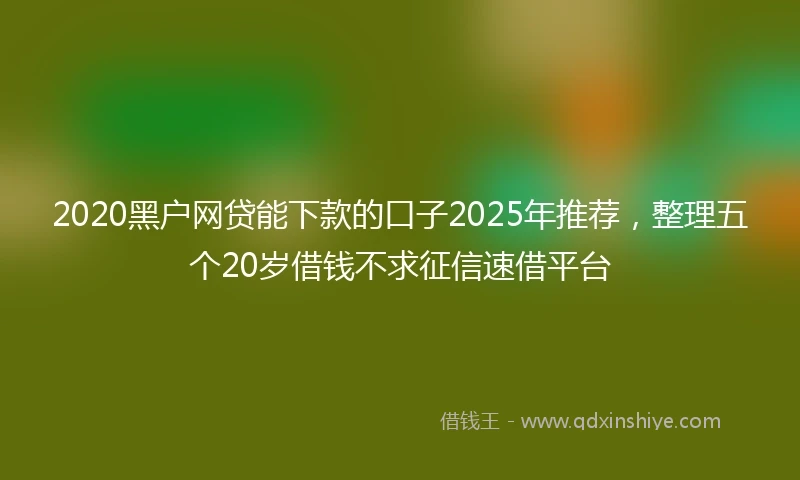 2020黑户网贷能下款的口子2025年推荐，整理五个20岁借钱不求征信速借平台